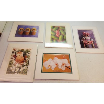 Lot of 5 Anne Geddes Baby Photo Prints 8" x 10" Mats Watermelon Sunflower More   163202755813